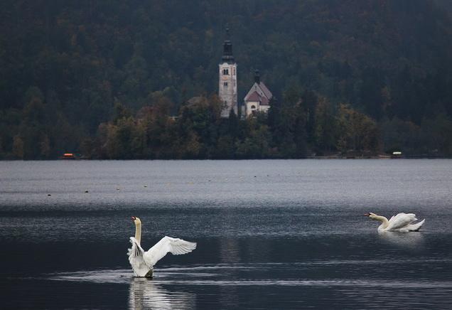 Apartment Villa Vltava Bled Eksteriør billede